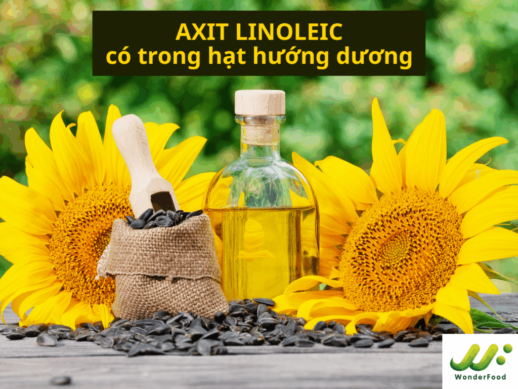 lợi ích của dầu hướng dương